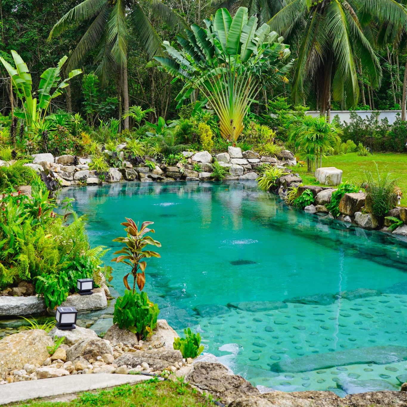 Pool under construction