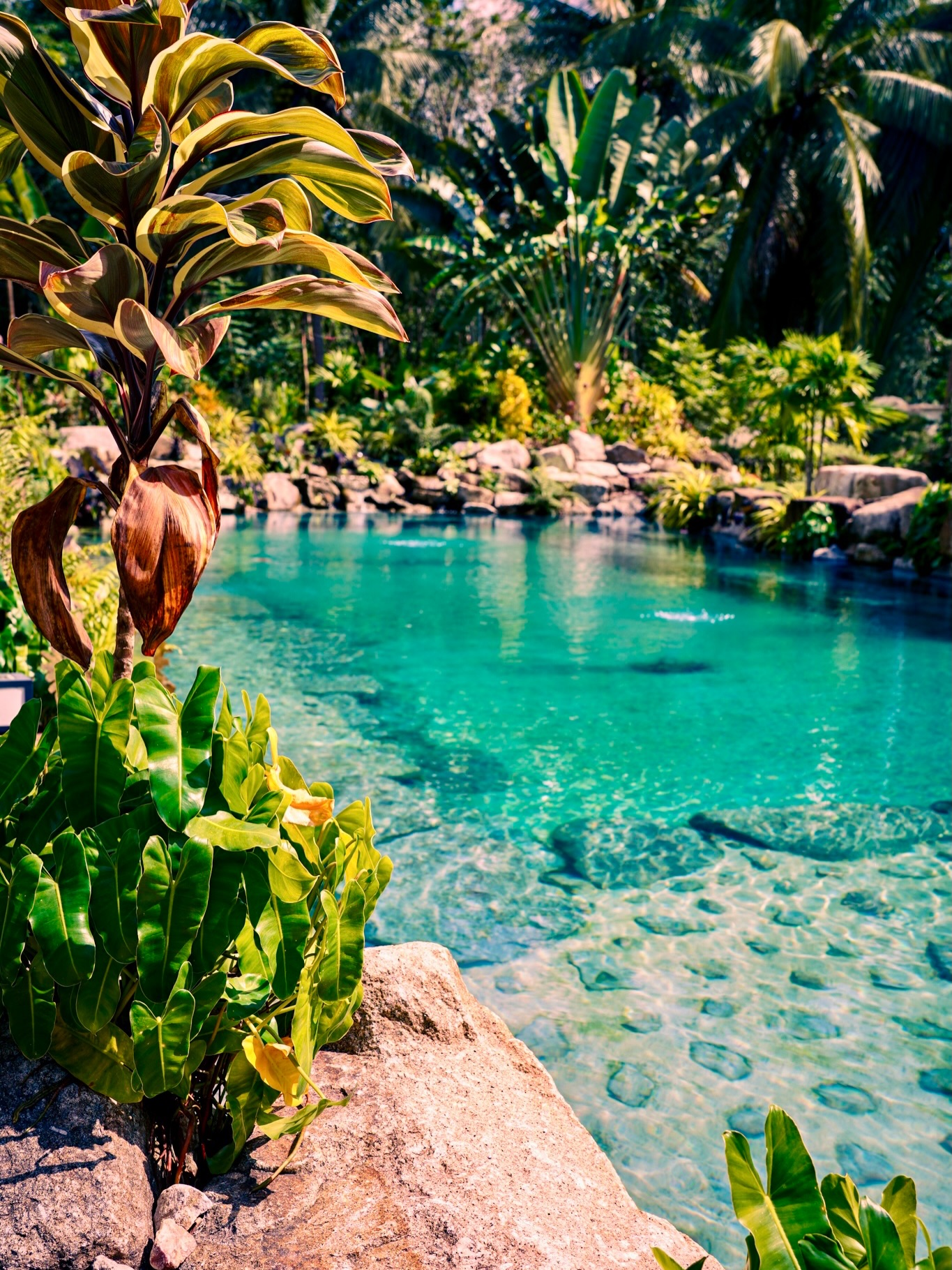 Samui Lagoons Natural Pool